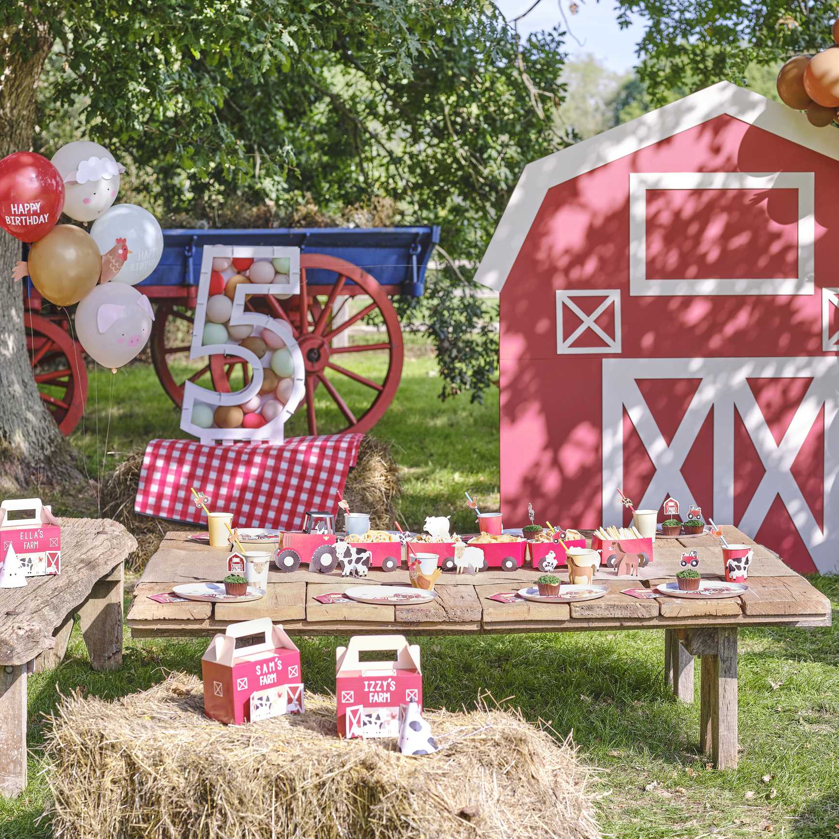 Farm deals birthday party