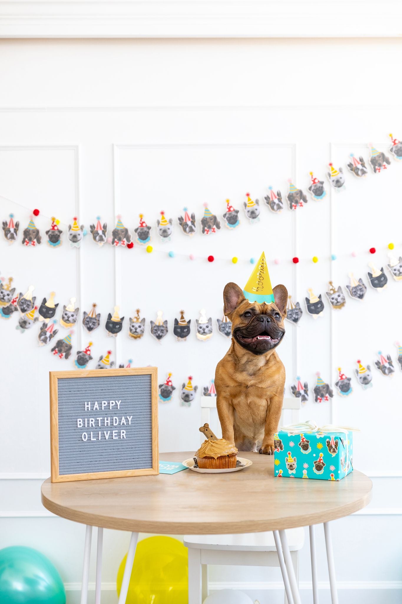 Pet Birthdays