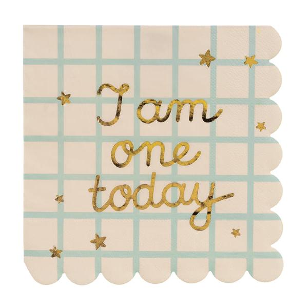 I Am One Today Teddy Bear Paper Napkins (12) - 1st Birthday Party Supplies Paper Napkins I Am One Today Teddy Bear Paper Napkins (12)